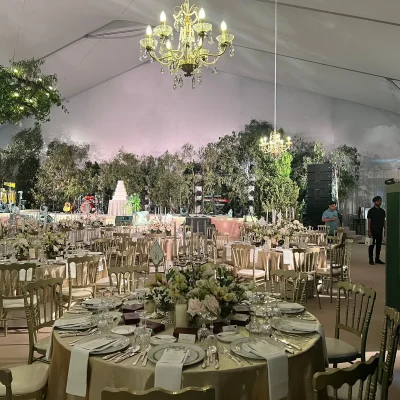 Weddings